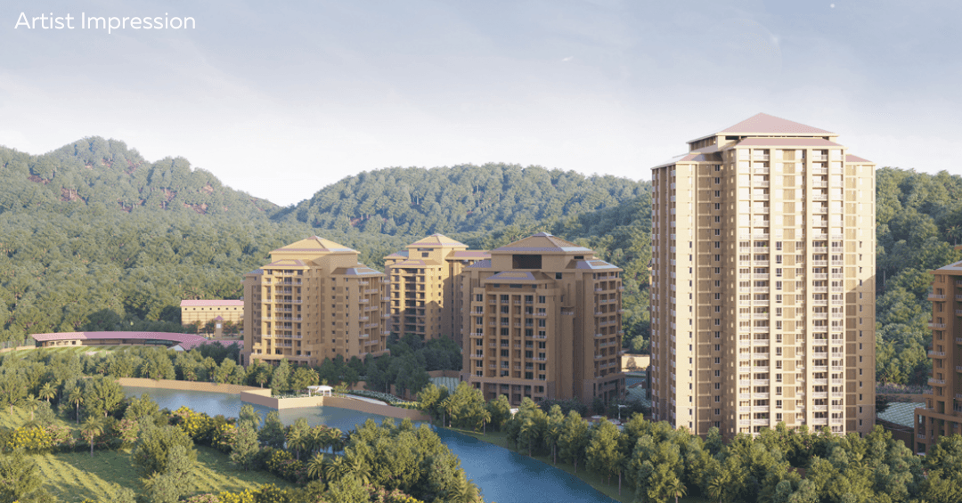 songbirds-phase-f Elevation