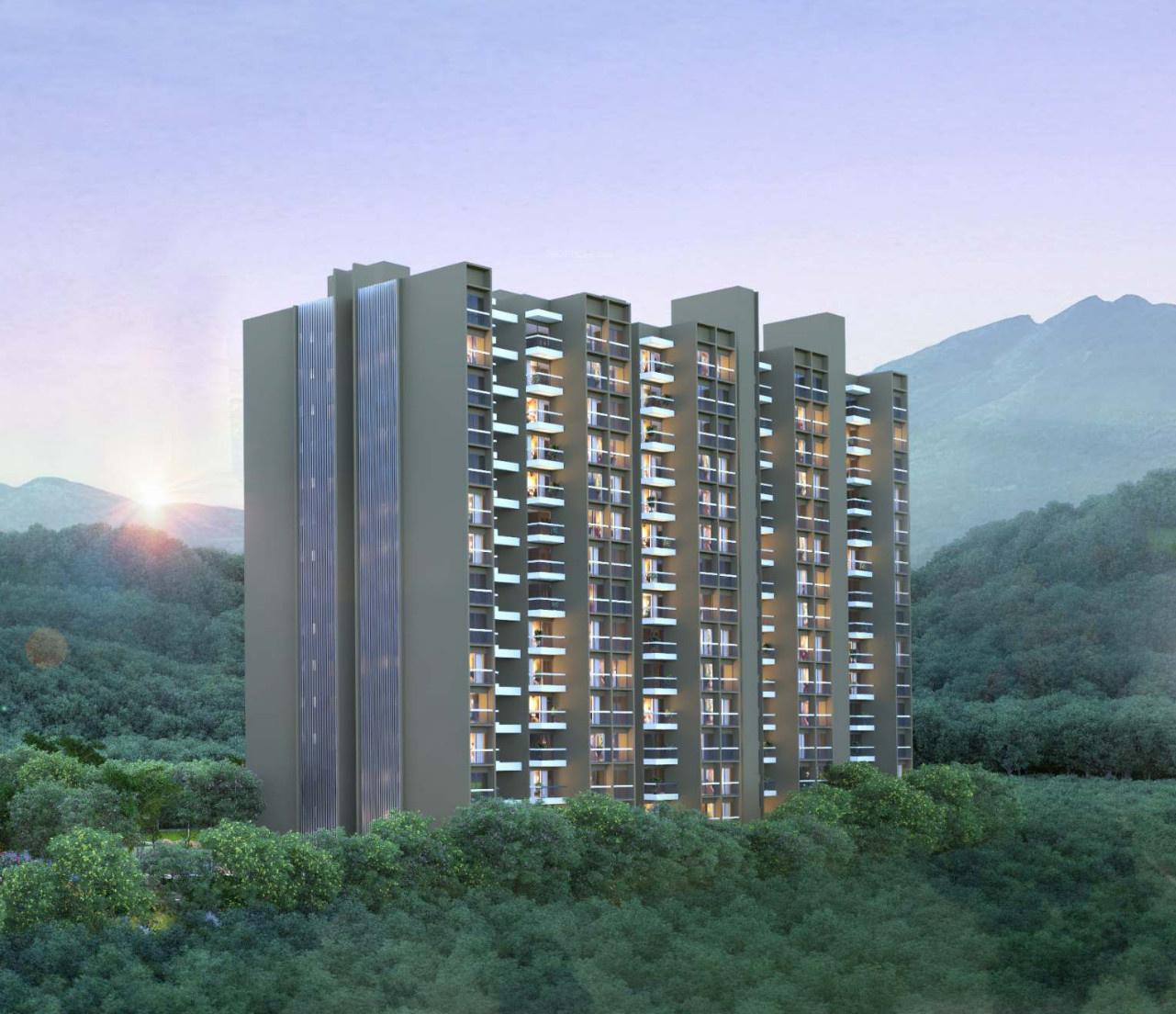 songbirds-phase-f Elevation