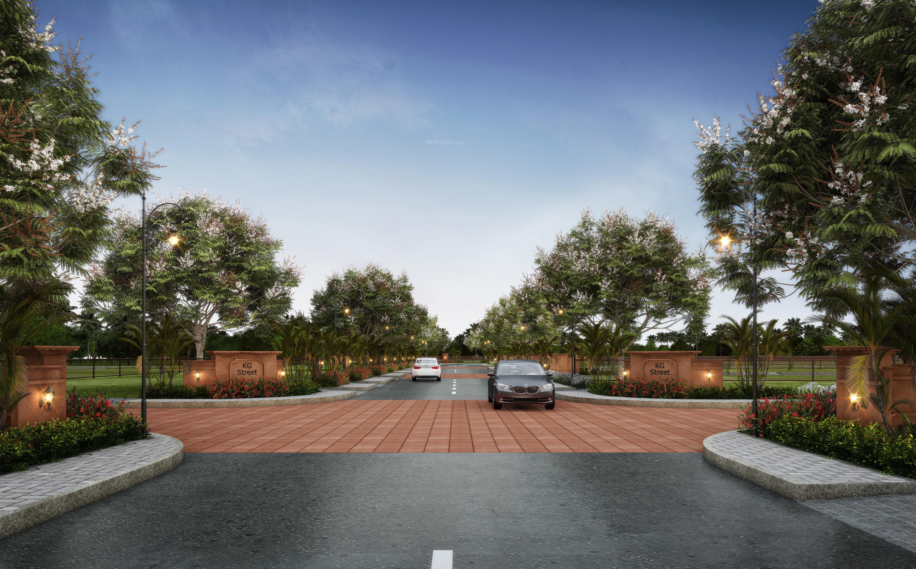 kingdom-of-joy Others