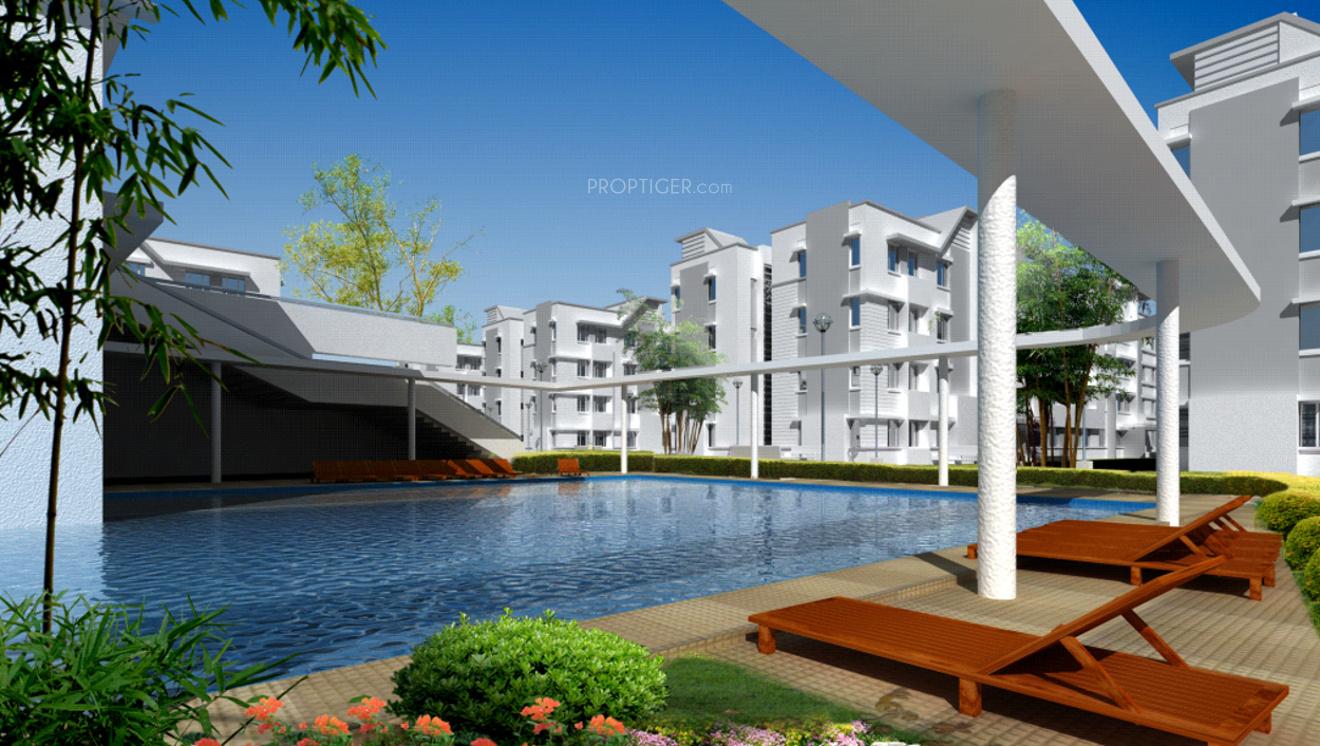 Images for Elevation of Provident Freedom