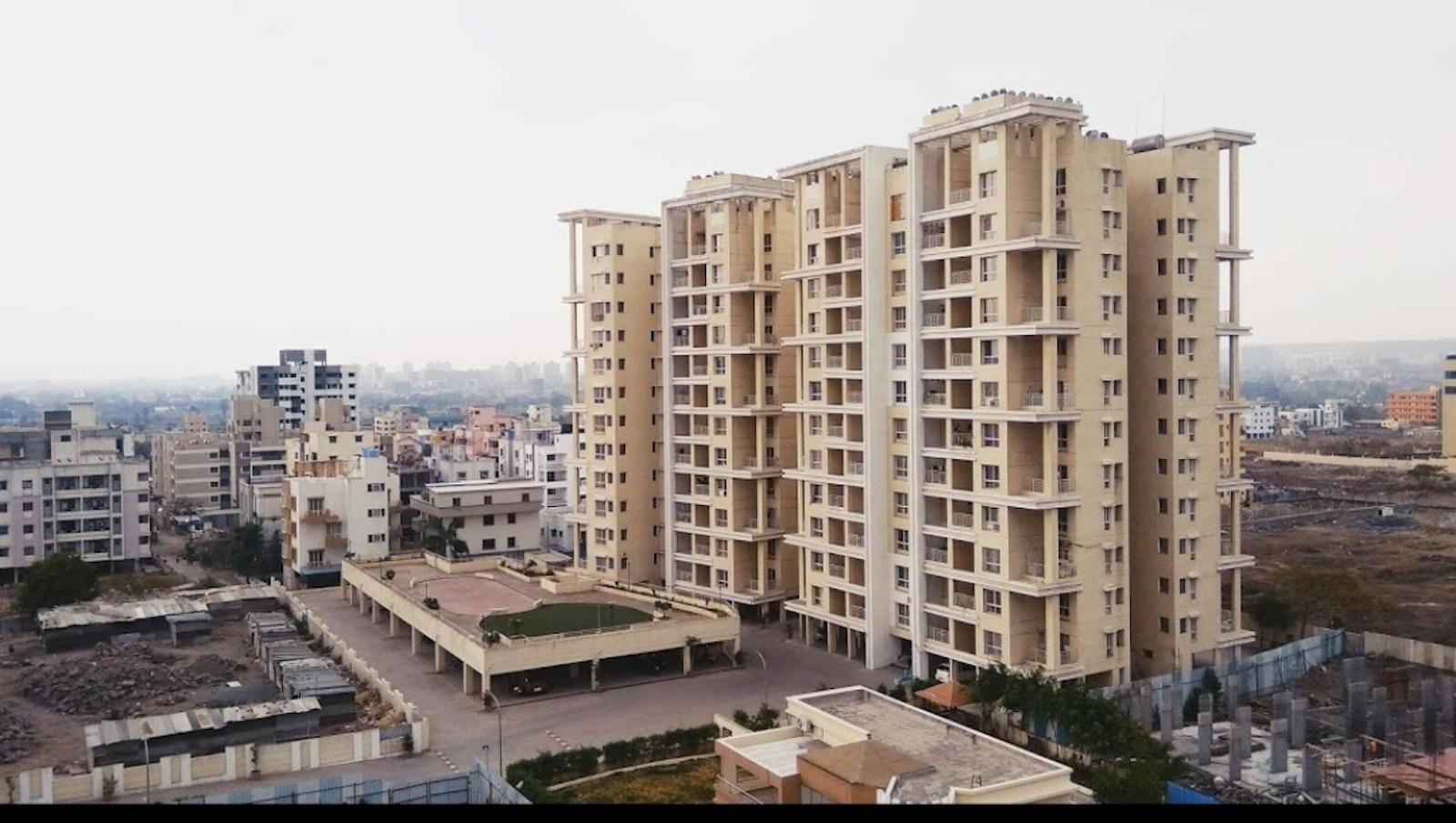 green-olive Elevation