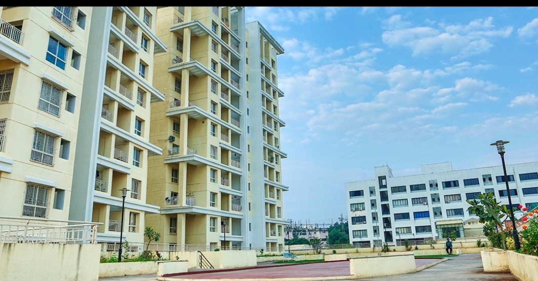 green-olive Elevation