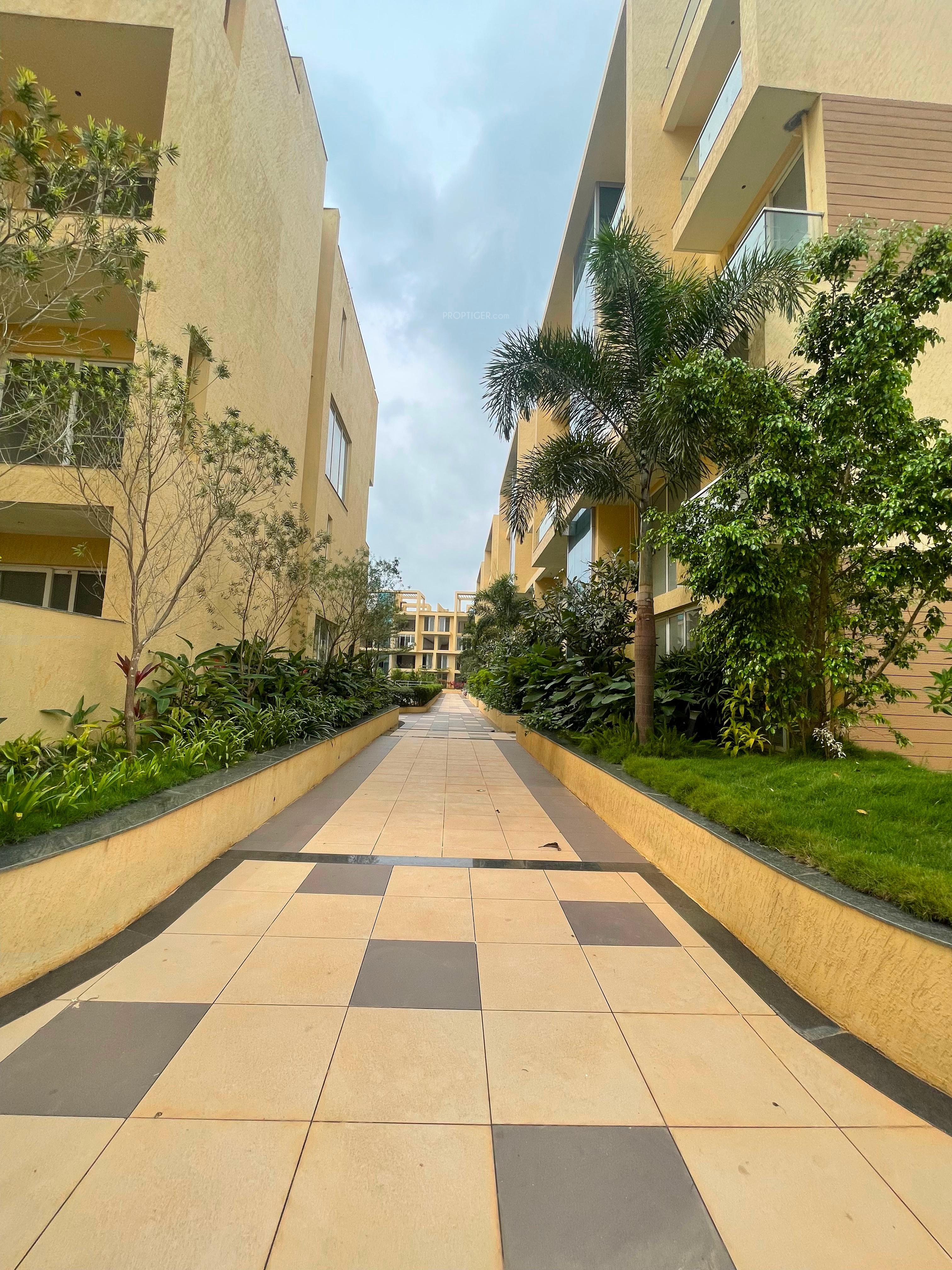 gm-townsville Elevation