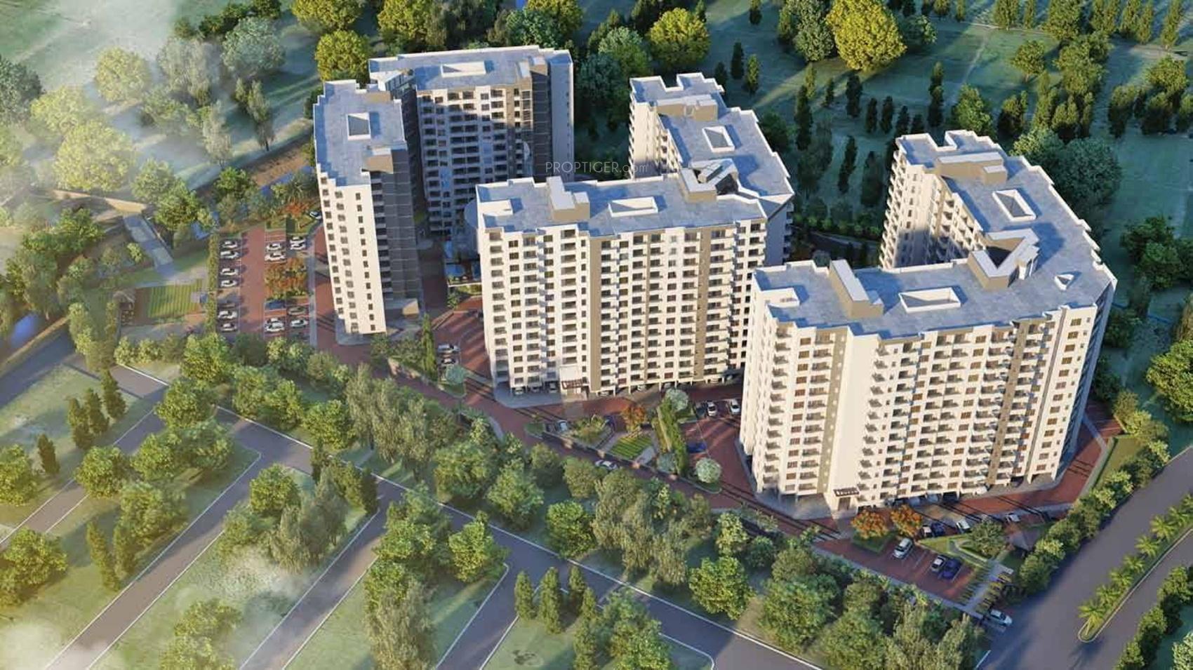 omega Images for Elevation of Brigade Omega