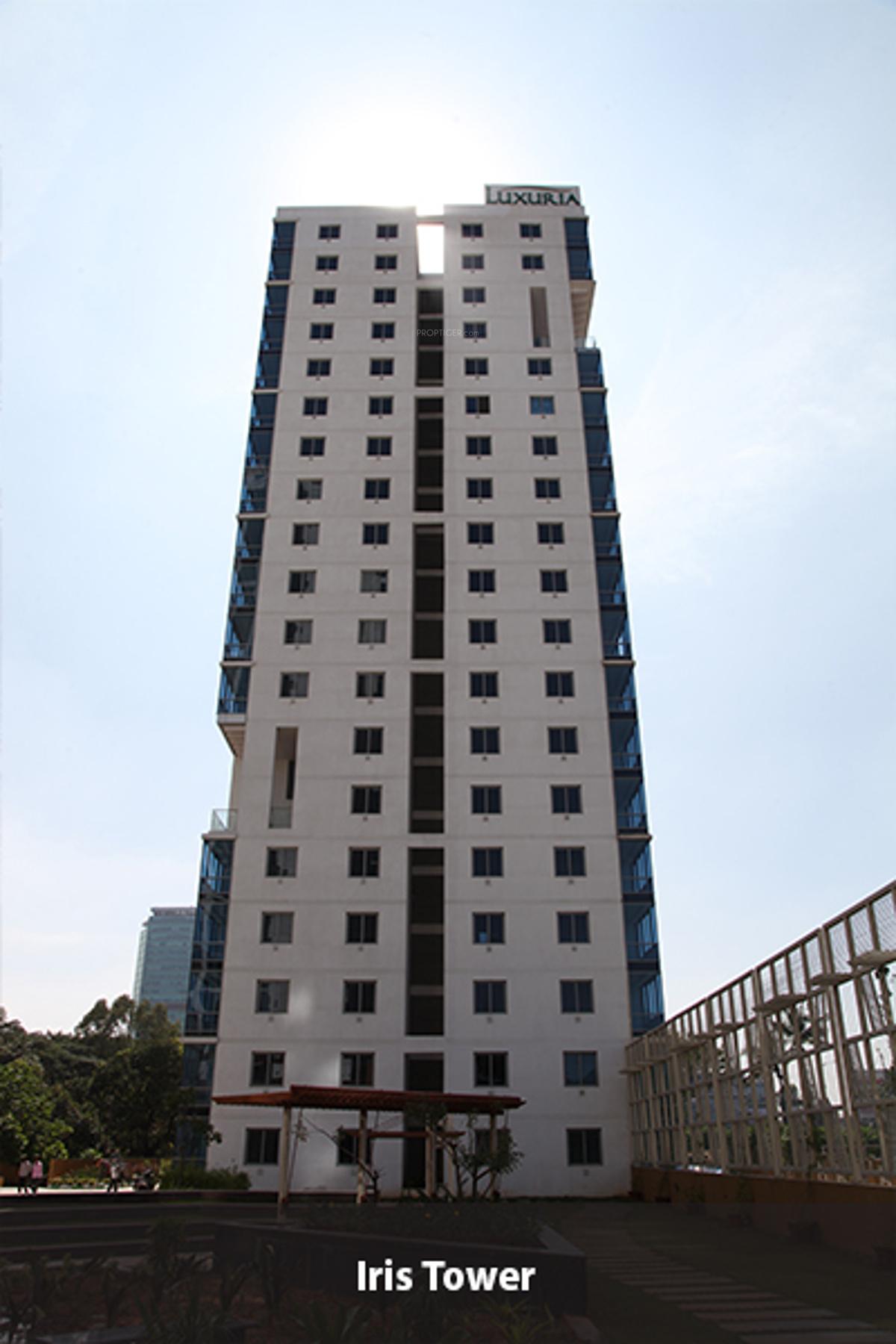 Images for Elevation of Salarpuria Sattva Luxuria