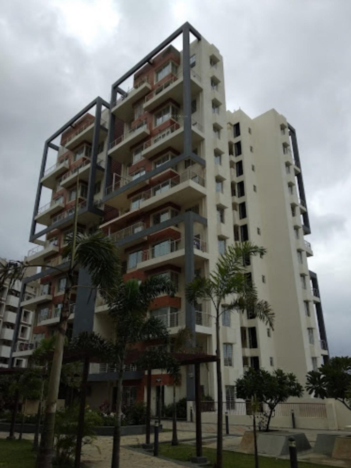 palladio-phase-2 Images for Project