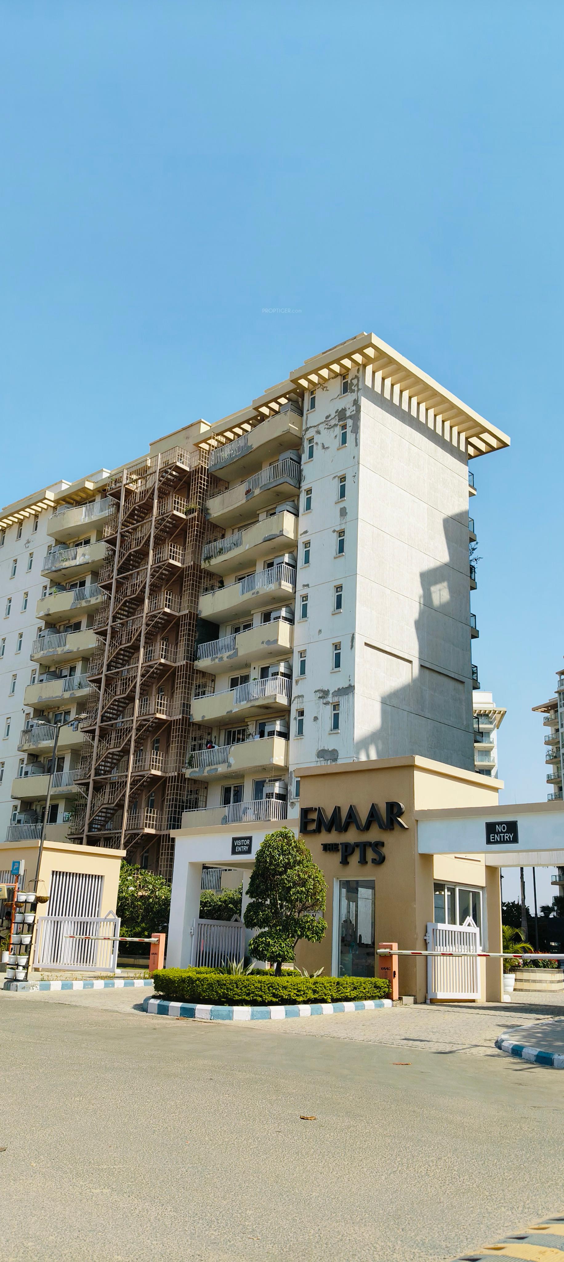 palm-terraces-select Elevation