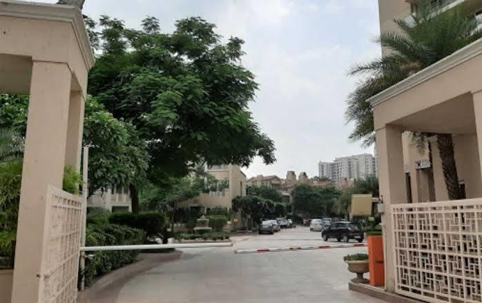 the-palm-springs Elevation