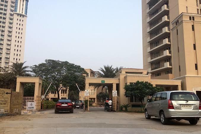 the-palm-springs Elevation