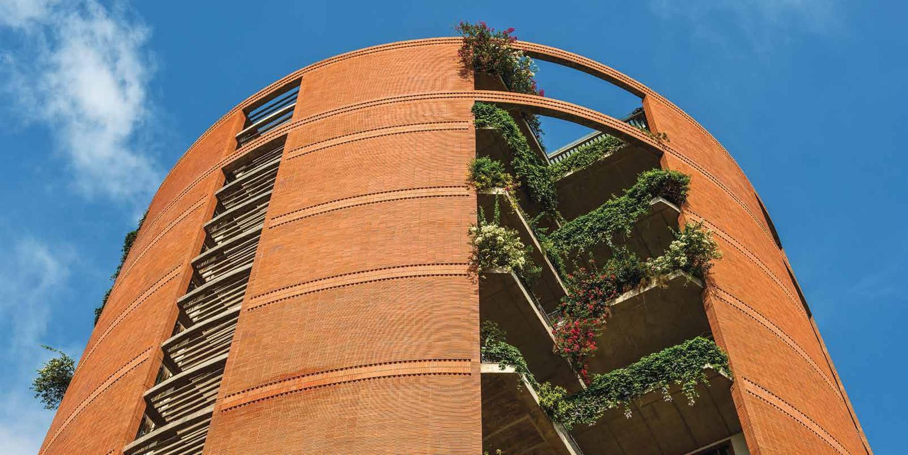 the-magic-faraway-tree Images for Elevation of Total Environment The Magic Faraway Tree