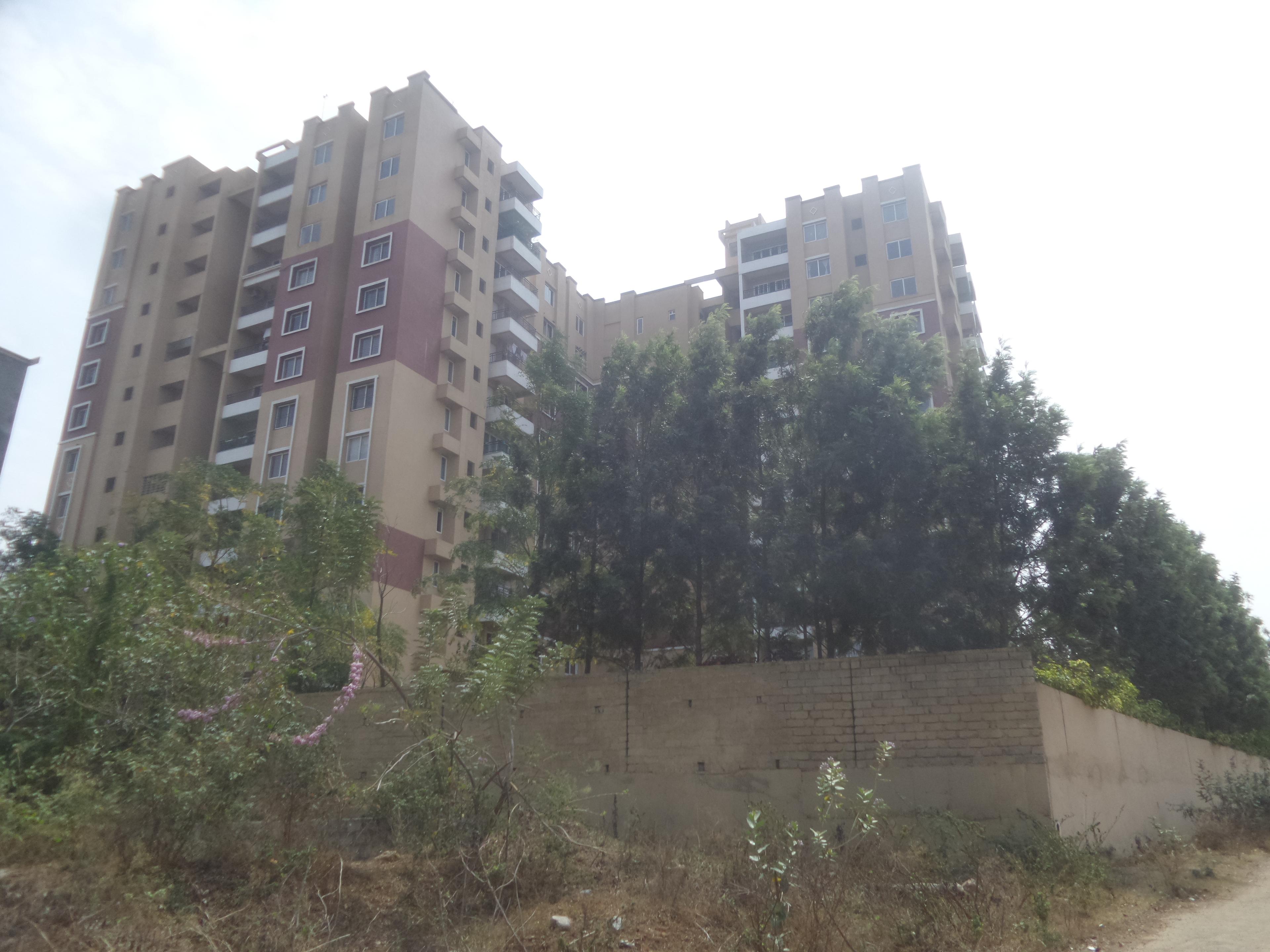 prosper-signature-block-phase-1 Elevation