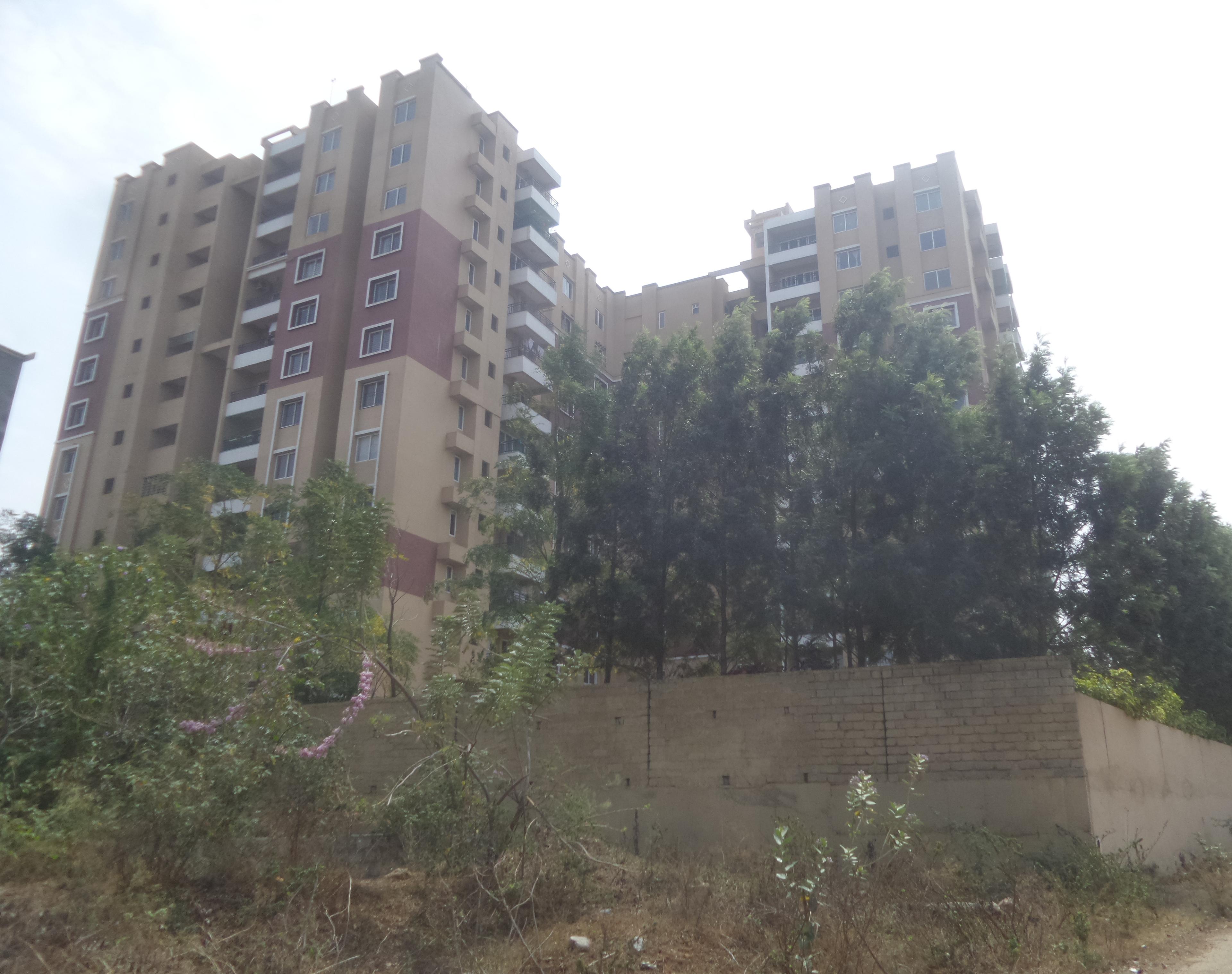 prosper-signature-block-phase-1 Elevation