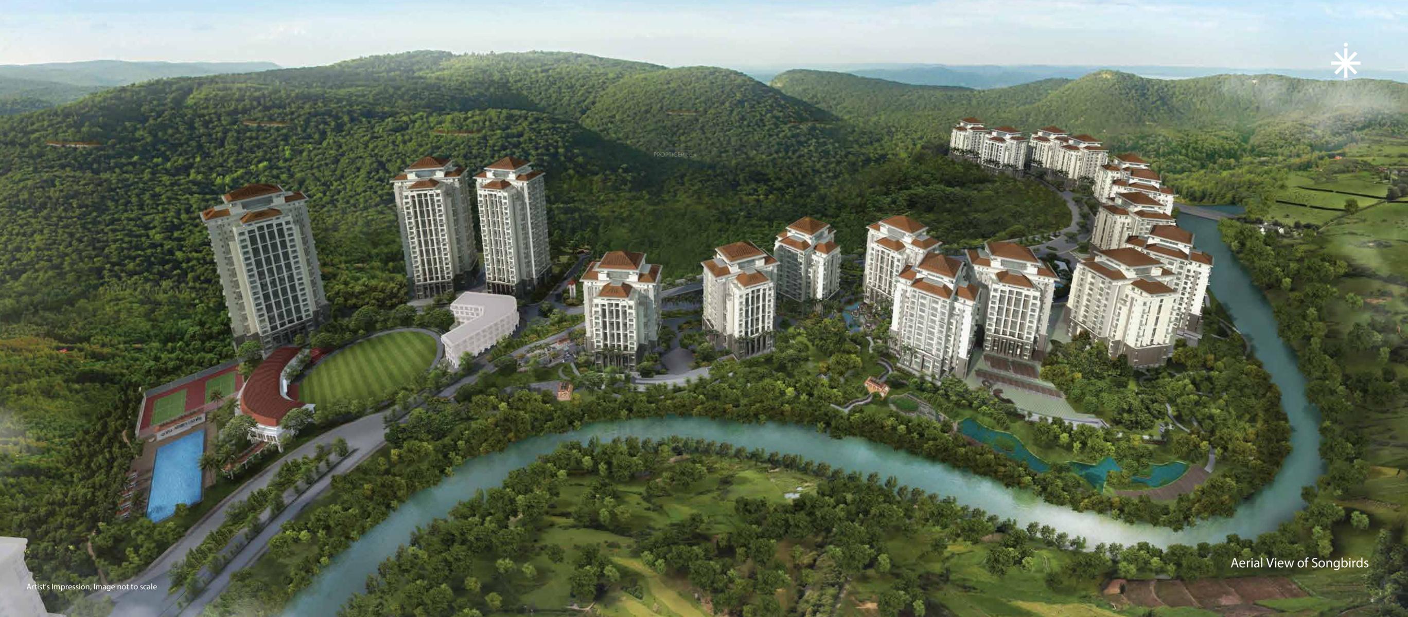 songbirds Images for Elevation of Skyi Songbirds