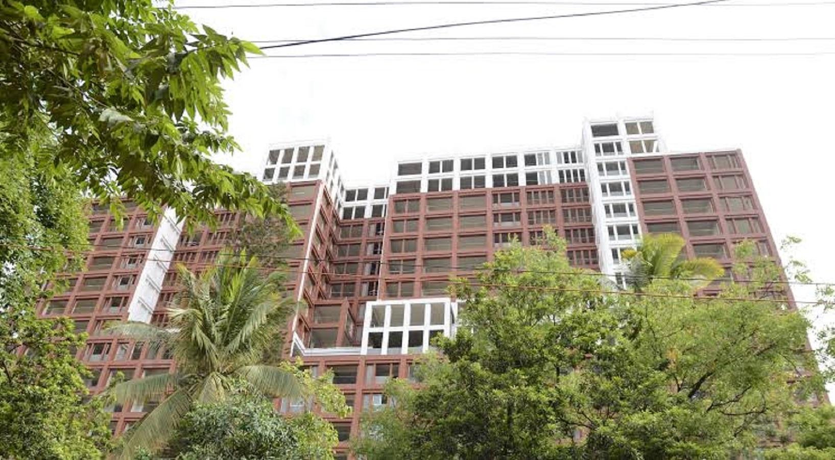 miraya-rose Elevation