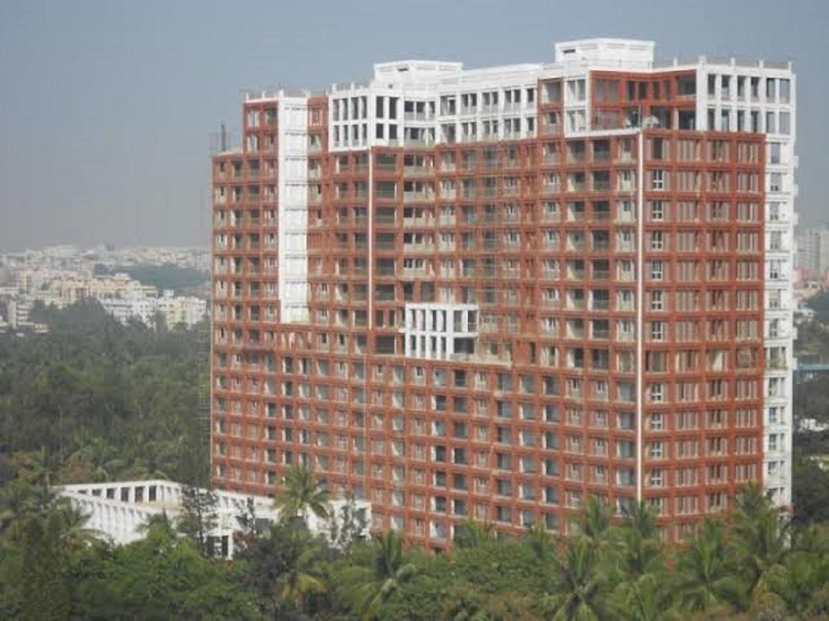 miraya-rose Elevation