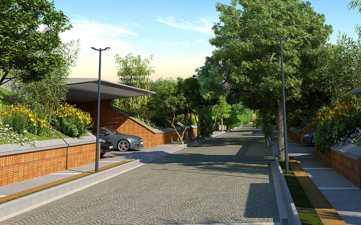 after-the-rain Images for Elevation of Total Environment After The Rain