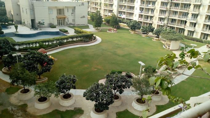 chloris Images for Project