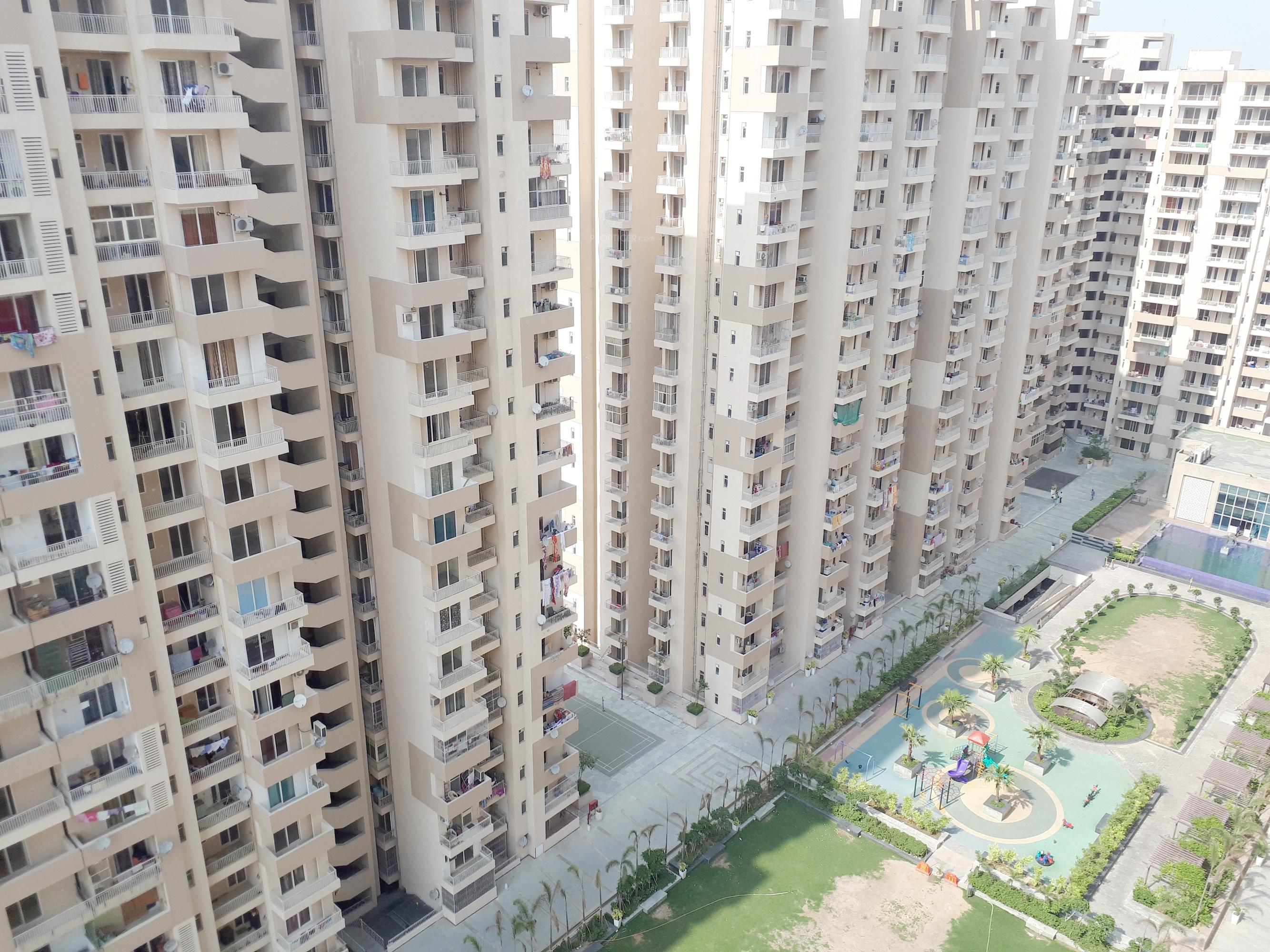 platinum-zeta-1 Images for Elevation of Ace Platinum Zeta 1