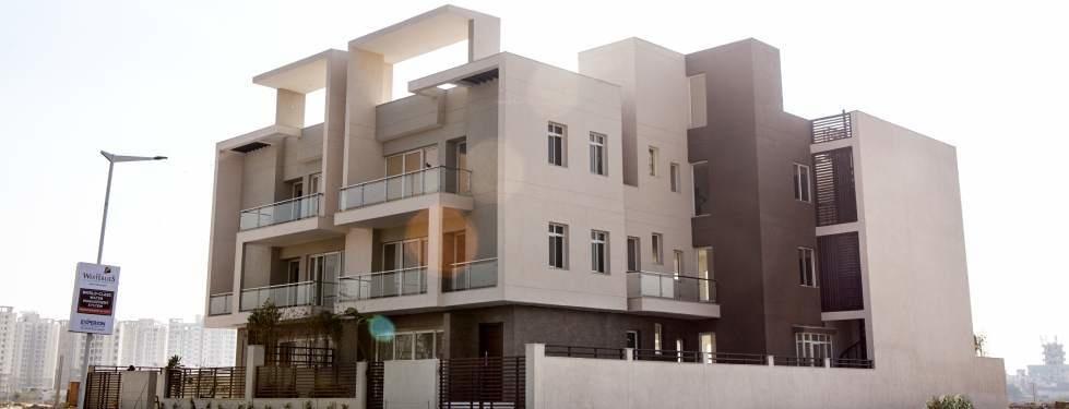 the-westerlies Elevation