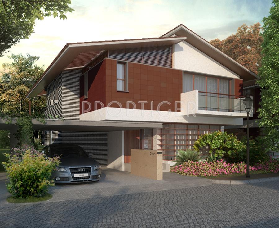 maitri Images for Elevation of Sycon Maitri