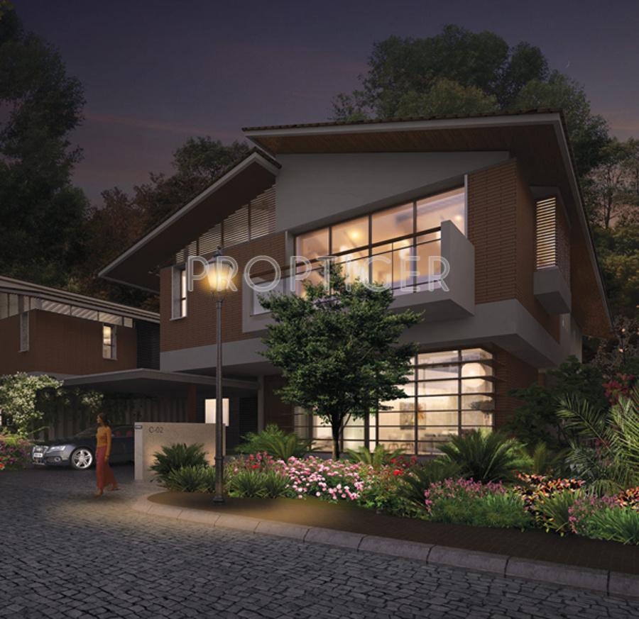 maitri Images for Elevation of Sycon Maitri