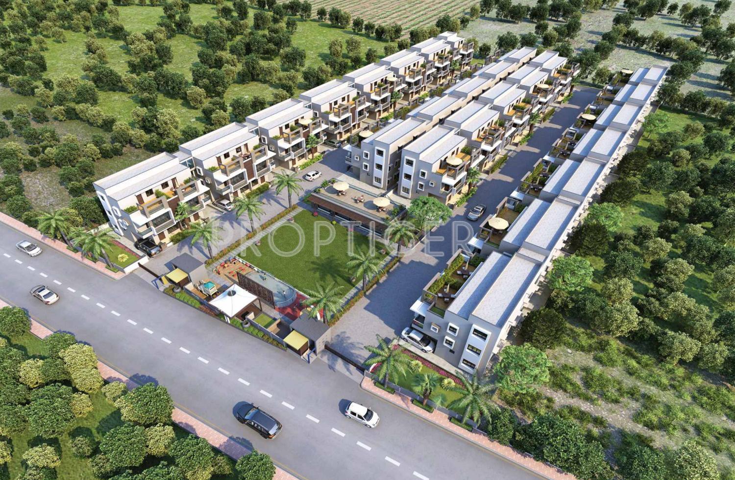 pineapple Images for Elevation of Shree Rang Pineapple