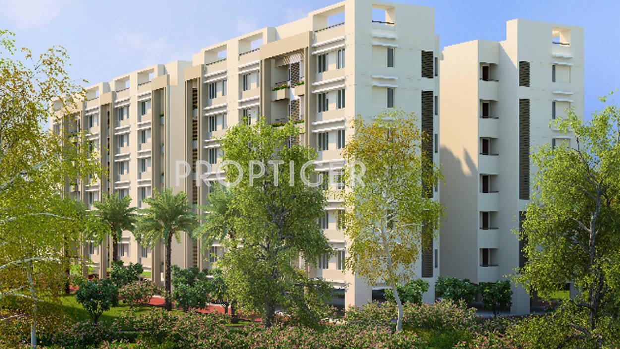 san-martin Images for Elevation of Pacifica San Martin