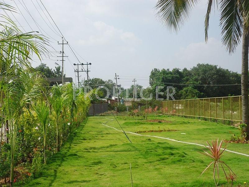 sri-sai-nagar Images for Elevation of Max Concorde Sri Sai Nagar