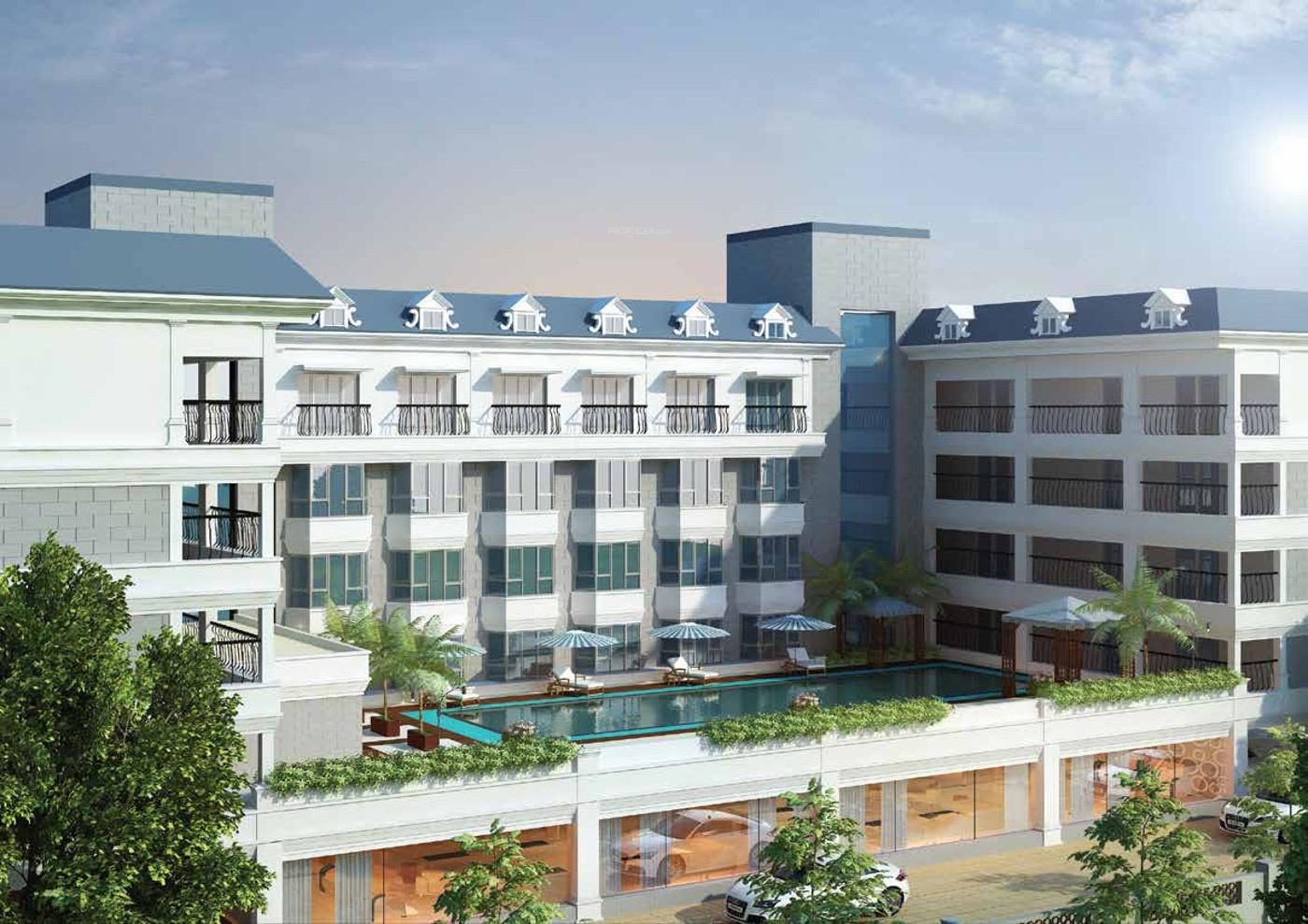 the-golden-mile Images for Elevation of Saltee The Golden Mile