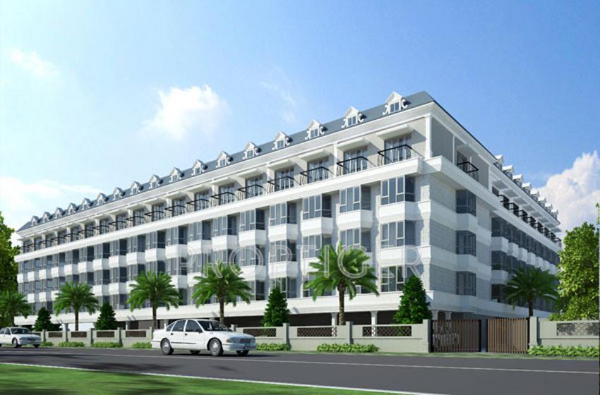 the-golden-mile Images for Elevation of Saltee The Golden Mile