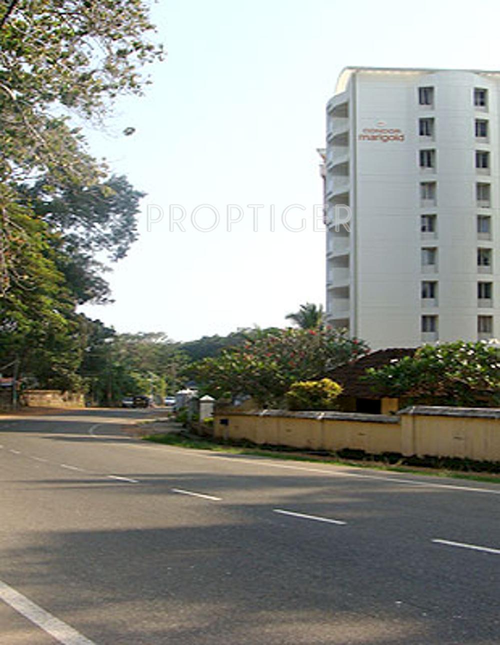 marigold Images for Elevation of Condor Builders Pvt Ltd Marigold