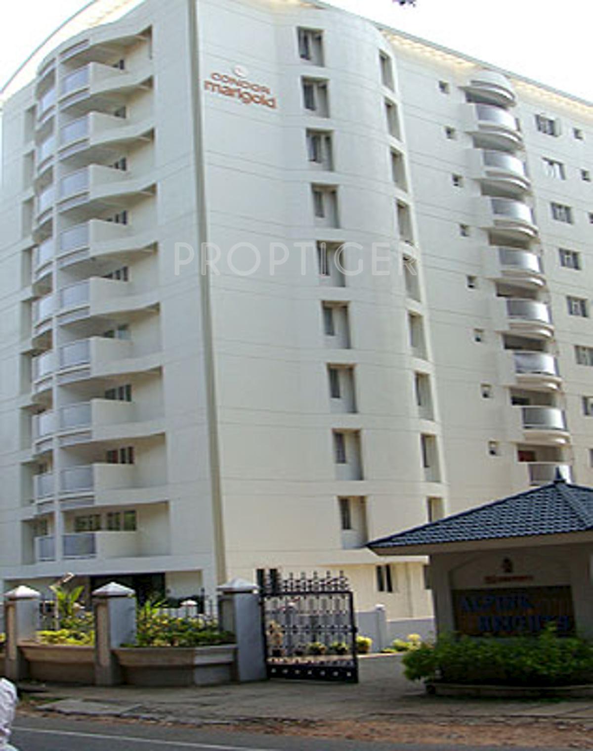 marigold Images for Elevation of Condor Builders Pvt Ltd Marigold