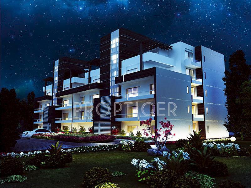 Images for Elevation of Tashee Orion Galaxy