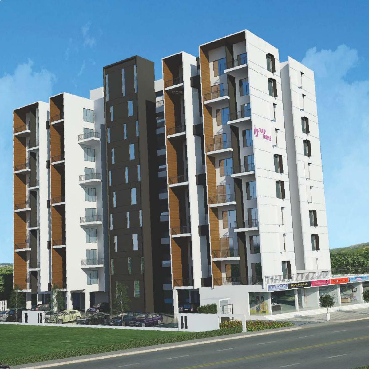 purple Images for Elevation of Tulip Purple