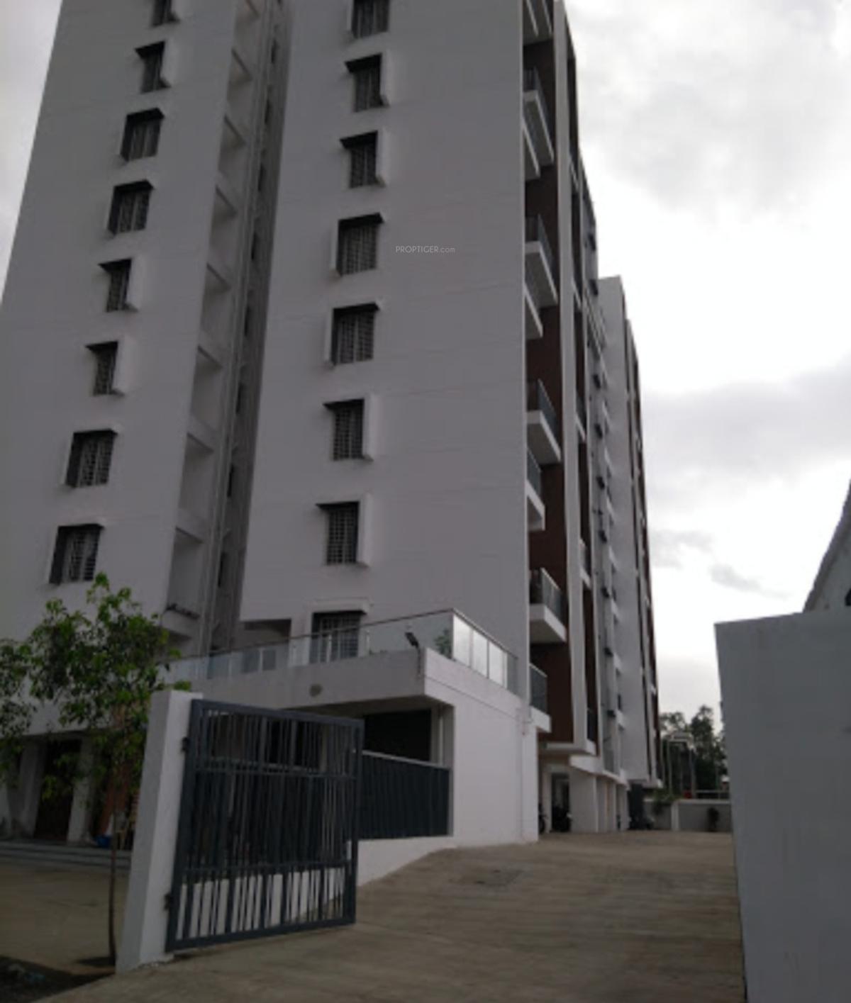 purple Images for Project