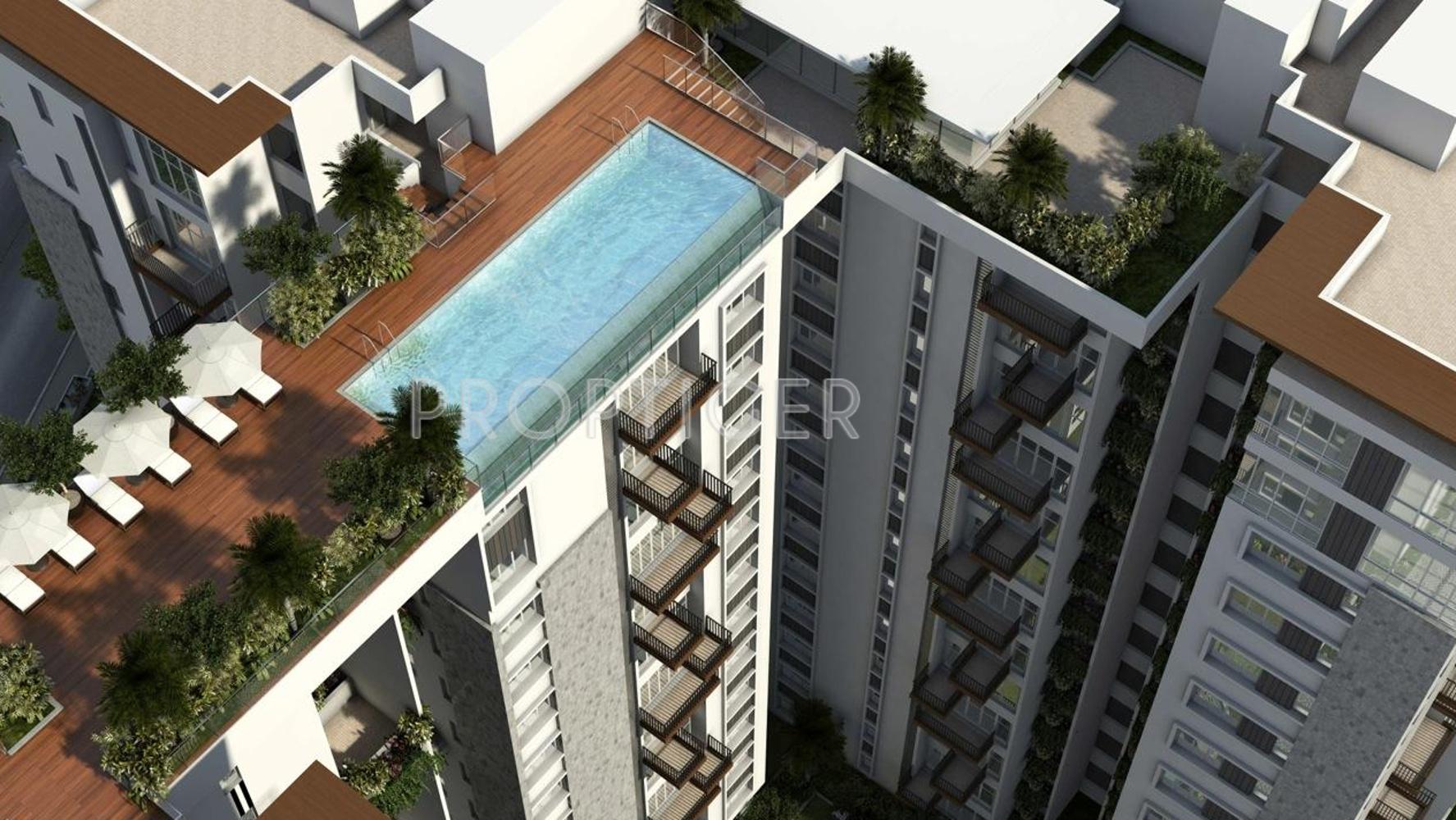 troica Images for Elevation of Sycon Troica