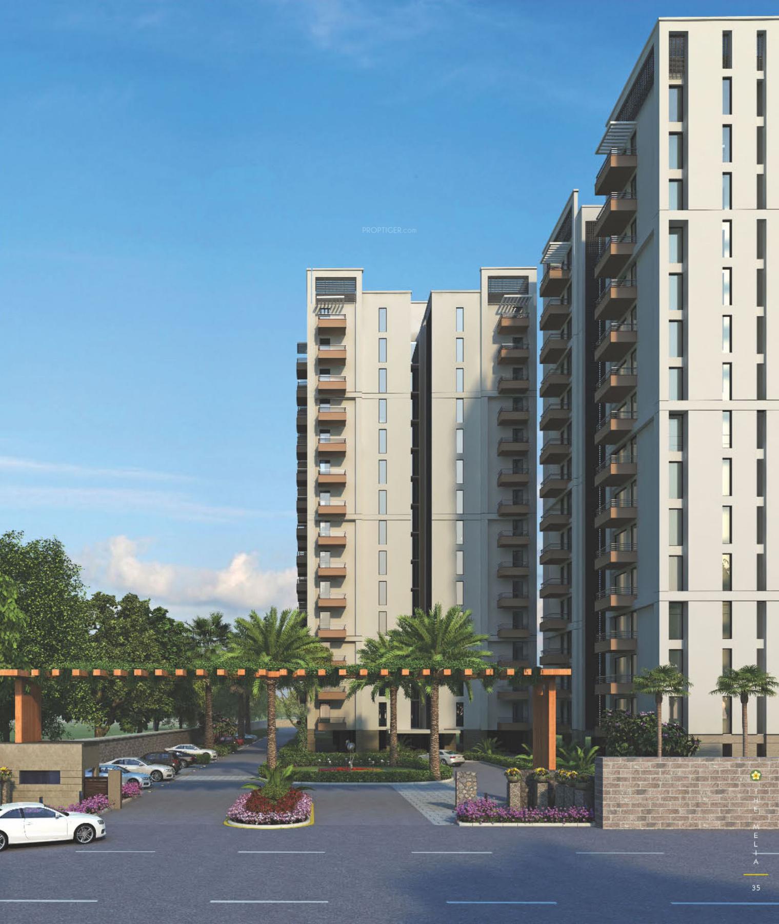 Images for Elevation of Silverglades Melia First Citizen